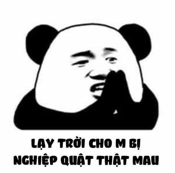 ảnh meme gấu trúc 5