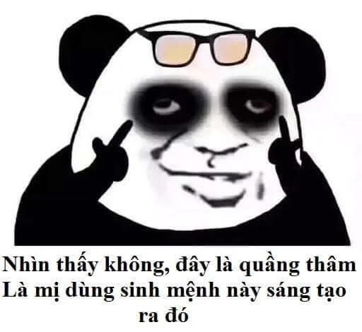 Meme gấu trúc 4