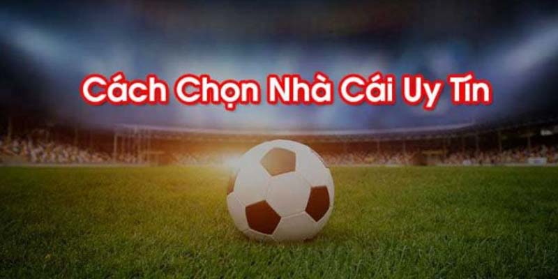 Khái quát về nhà cái uy tín DABET