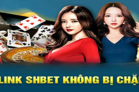 SHBET – Địa chỉ lớn, uy tín số 1 tại thị trường cá cược Việt Nam