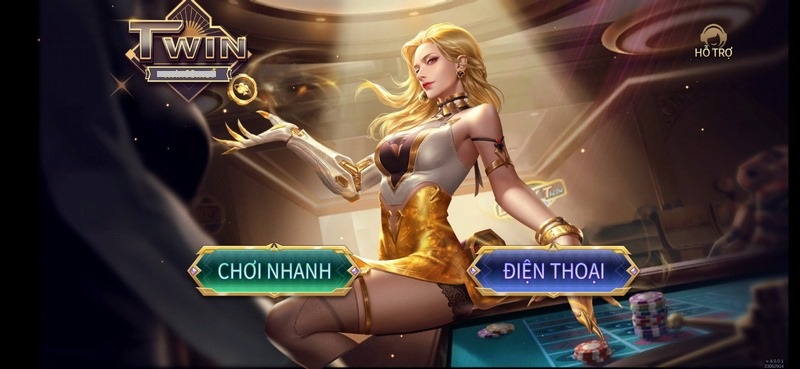 Thông tin tổng quan về TWin