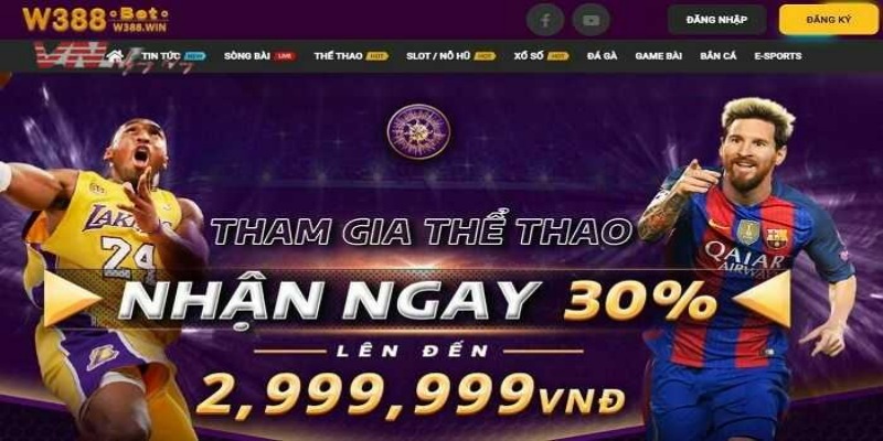 Đánh giá từ các chuyên gia