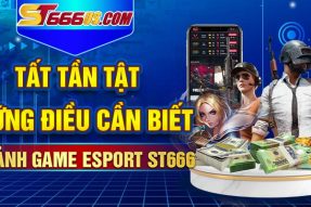 Tất Tần Tật Những Điều Cần Biết Về Sảnh Game Esport ST666