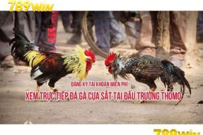 Cách tạo tài khoản để tham gia đá gà trên 789win