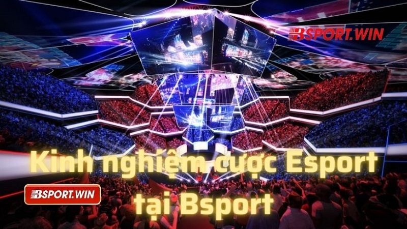 Kinh nghiệm đặt cược Esports hiệu quả tại nhà cái Bsport