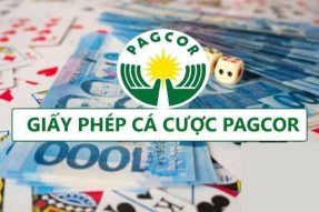 Các tiêu chí lựa chọn trang cá cược Ngoại hạng Anh 