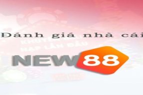 New88 – Điểm hẹn lý tưởng cho tay chơi săn thưởng 2024