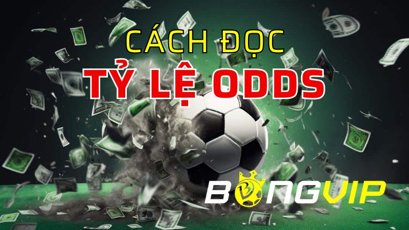 Chia sẻ bí quyết đọc tỷ lệ ăn tiền Odds tại nhà cái một cách chính xác nhất