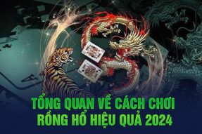 Tổng quan về cách chơi rồng hổ hiệu quả 2024