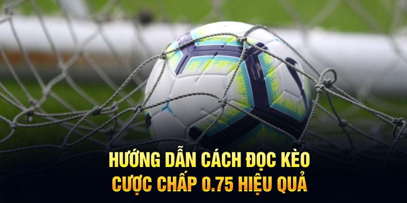 Đôi nét giới thiệu về kèo chấp 0.75 trong cá cược bóng đá 