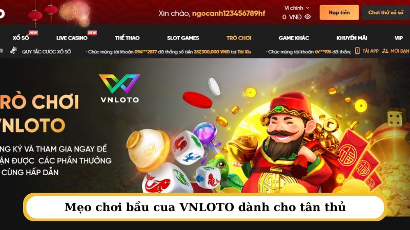 Mẹo chơi bầu cua VNLOTO dành cho tân thủ