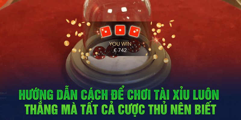 Ảnh: Hướng dẫn cách để chơi tài xỉu luôn thắng mà tất cả cược thủ nên biết