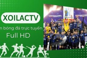 Xoilac-tv.one – Web trực tiếp bóng đá người hâm mộ không thể không biết