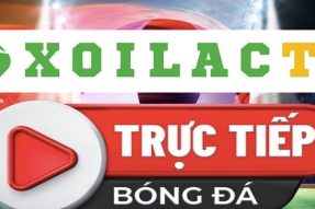 xoilac-tv.in: Khám phá nền tảng trực tiếp bóng đá hàng đầu