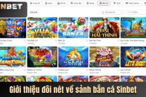 Bắn cá SINBET – thế giới đại dương chờ bạn khám phá