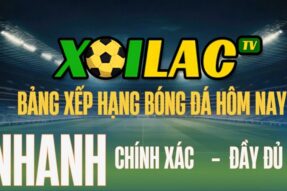 Bảng xếp hạng bóng đá Xoilac – Nắm trọn cục diện các giải đấu hot